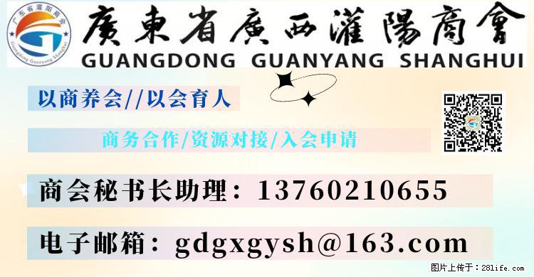 “粤灌文化 美好生活”油茶文化主题活动在广东深圳成功举办 - 巢湖生活资讯 - 巢湖28生活网 ch.28life.com