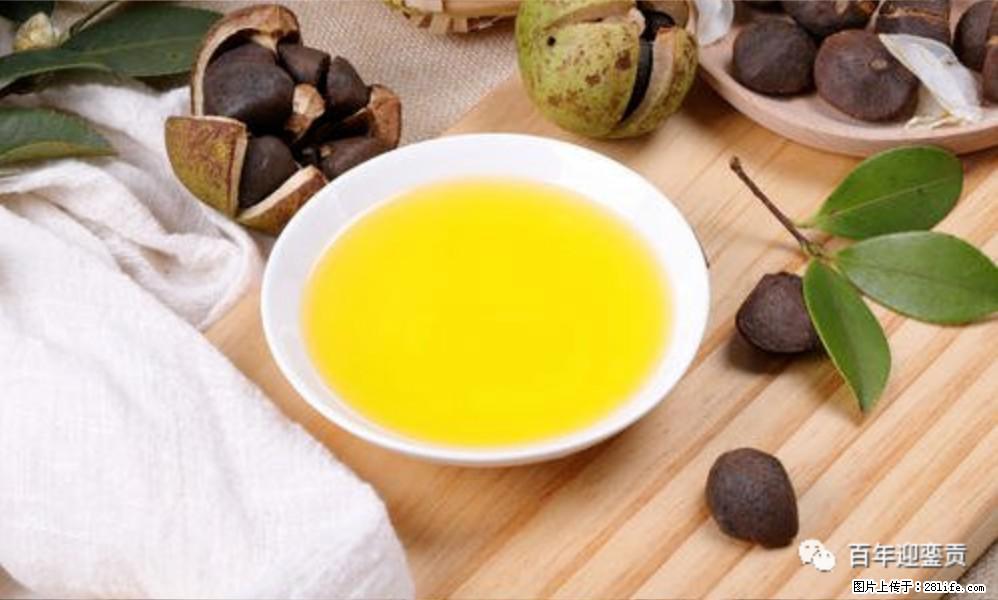 揭秘茶油的5大核心营养成分！被称为人体健康的“守护盾”！ - 巢湖生活资讯 - 巢湖28生活网 ch.28life.com