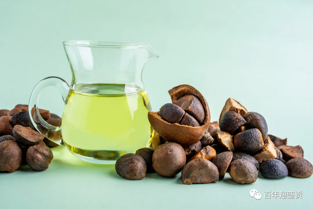 世界没有真相,只有认知,最好的食用油是中国的山茶油! - 巢湖生活资讯 - 巢湖28生活网 ch.28life.com