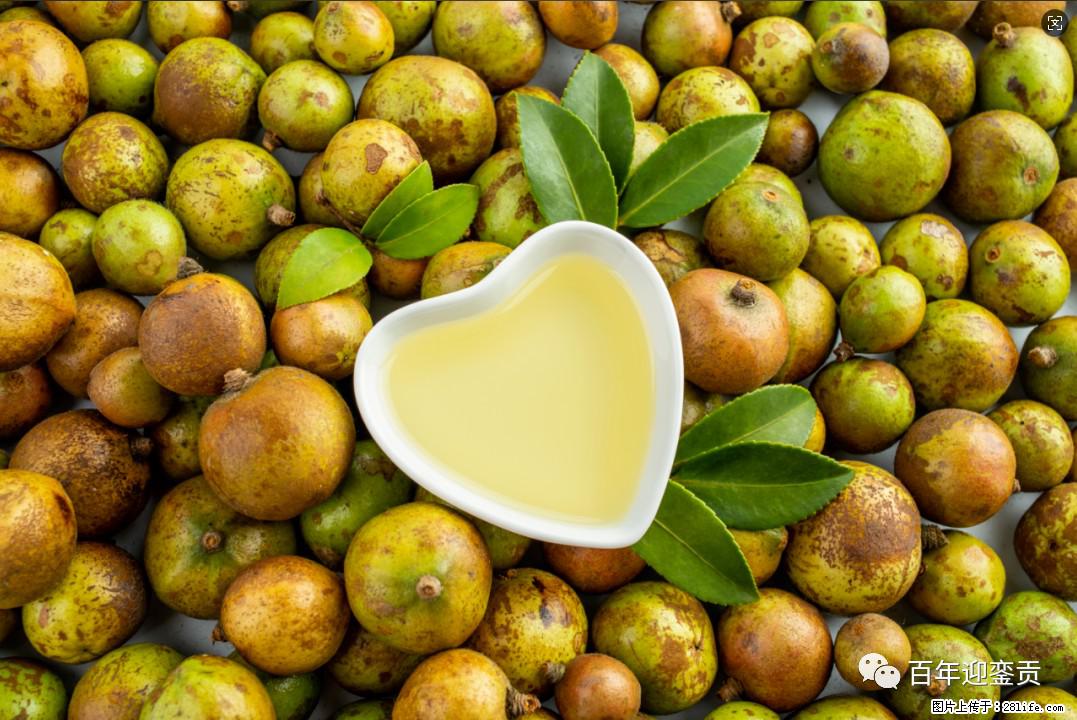 世界没有真相,只有认知,最好的食用油是中国的山茶油! - 巢湖生活资讯 - 巢湖28生活网 ch.28life.com