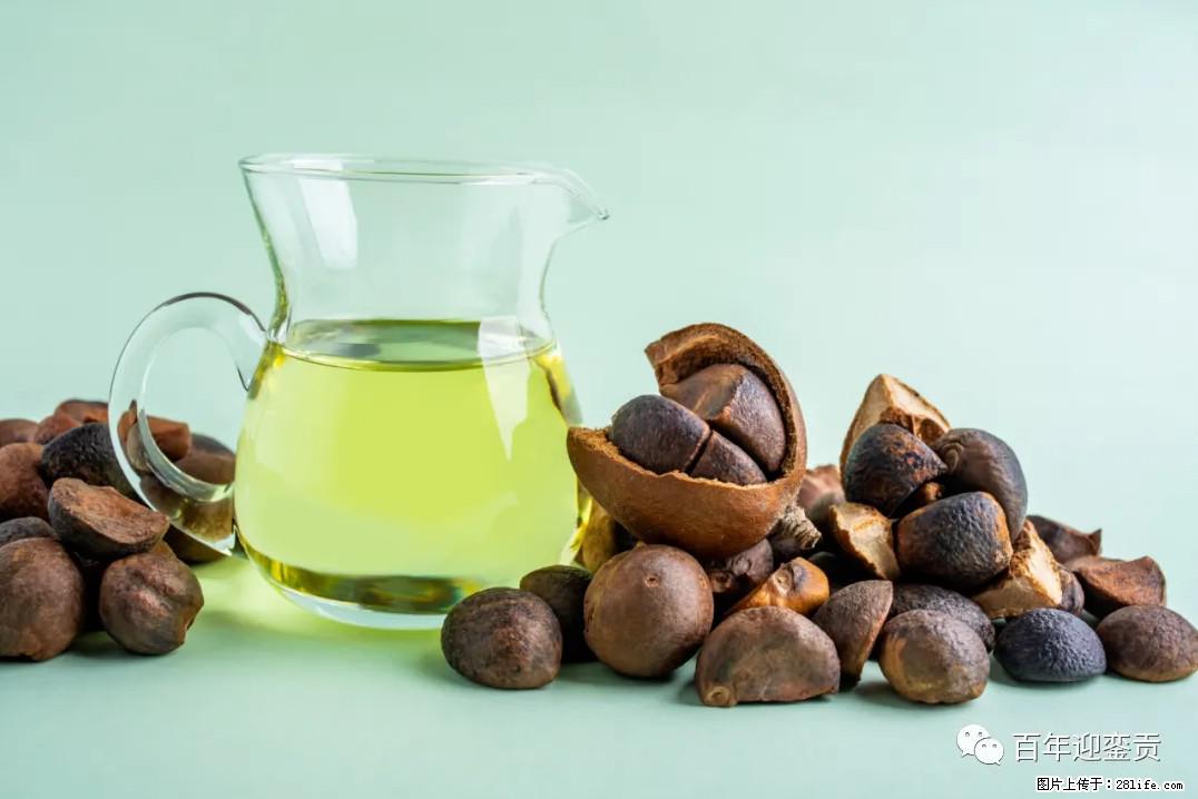 世界没有真相，只有认知，最好的食用油是中国的山茶油！ - 巢湖生活资讯 - 巢湖28生活网 ch.28life.com