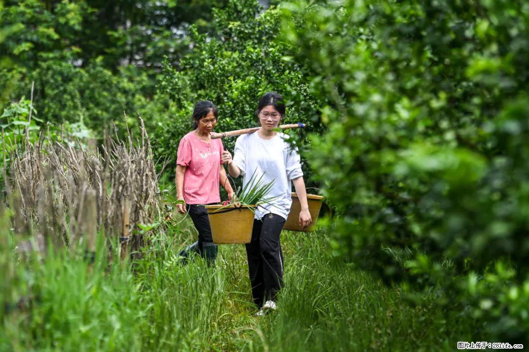 全网追的“扁担女孩”，找了一份暑假工，时薪12元 - 巢湖生活资讯 - 巢湖28生活网 ch.28life.com