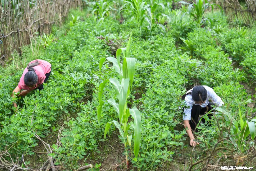 全网追的“扁担女孩”，找了一份暑假工，时薪12元 - 巢湖生活资讯 - 巢湖28生活网 ch.28life.com