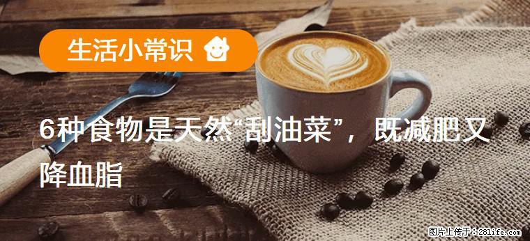 【生活小常识】6种食物是天然“刮油菜”，既减肥又降血脂 - 巢湖生活资讯 - 巢湖28生活网 ch.28life.com