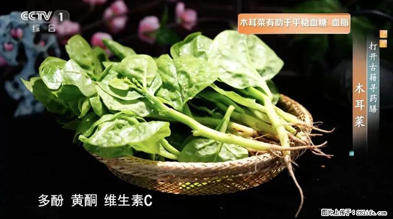 比牛奶补钙还厉害！凉血解毒、稳血糖...这菜冬天必吃，很多人却当草 - 巢湖生活资讯 - 巢湖28生活网 ch.28life.com