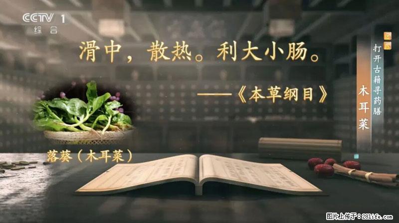 比牛奶补钙还厉害！凉血解毒、稳血糖...这菜冬天必吃，很多人却当草 - 巢湖生活资讯 - 巢湖28生活网 ch.28life.com