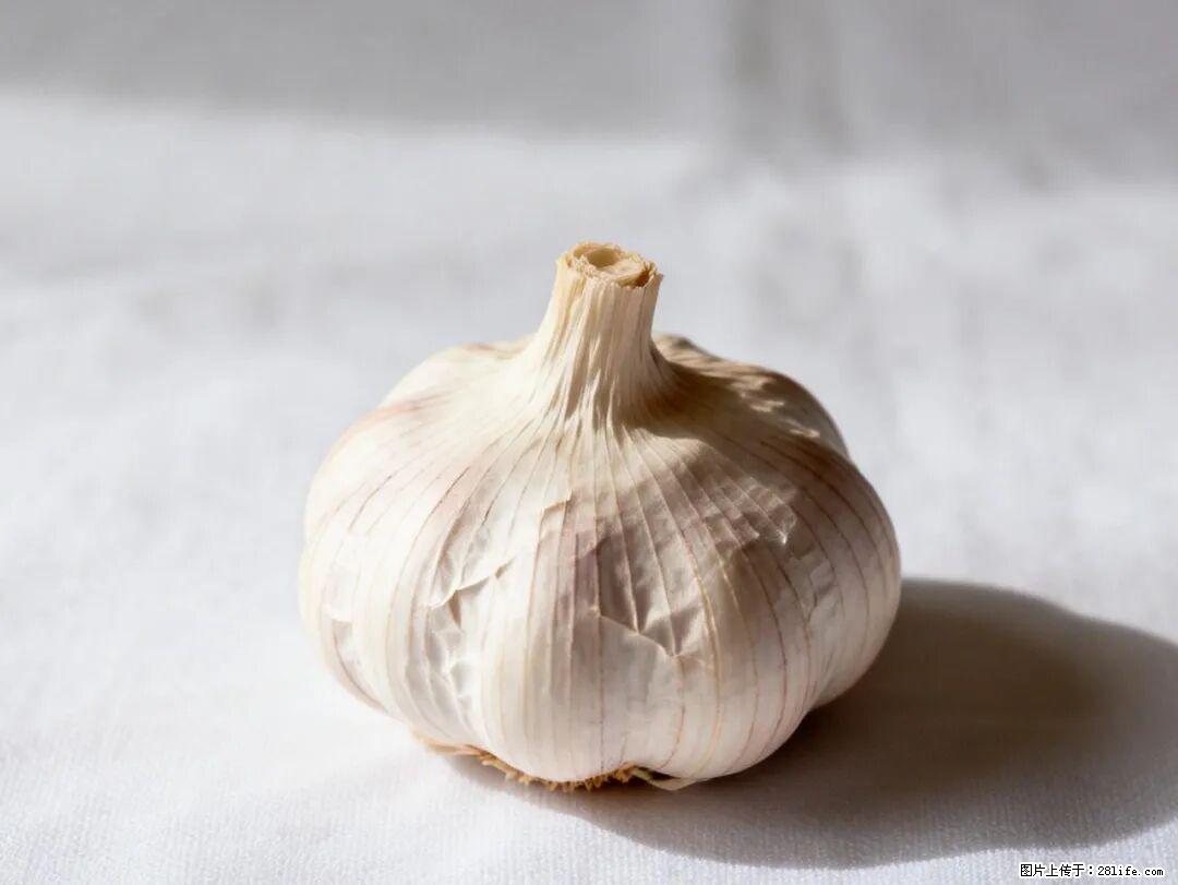 关于大蒜，除了“天然抗生素”，这4个谣言更该警惕! - 巢湖生活资讯 - 巢湖28生活网 ch.28life.com