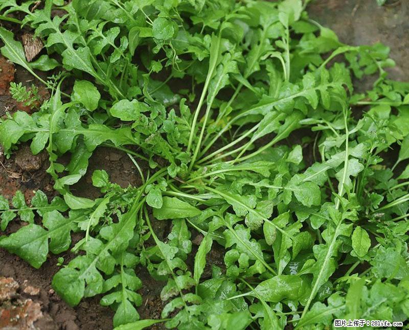 这些蔬菜是“天然钙片”，这6种被医生重点推荐 - 巢湖生活资讯 - 巢湖28生活网 ch.28life.com