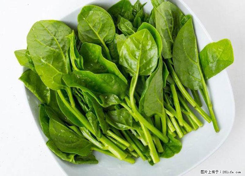 这些蔬菜是“天然钙片”，这6种被医生重点推荐 - 巢湖生活资讯 - 巢湖28生活网 ch.28life.com