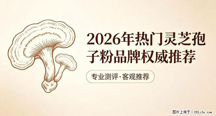 灵芝孢子粉含量越高越有效？2026 年七款热门品牌深度实测，肠胃敏感者避坑指南 - 巢湖生活资讯 - 巢湖28生活网 ch.28life.com