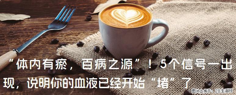 “体内有瘀,百病之源”!5个信号一出现,说明你的血液已经开始“堵”了 - 巢湖生活资讯 - 巢湖28生活网 ch.28life.com